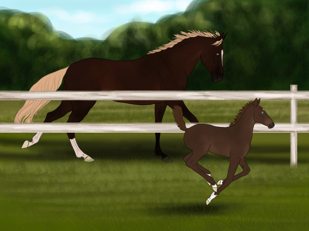 Обои картинки фото рисованное, животные,  лошади, лошадь, забор, лошадка