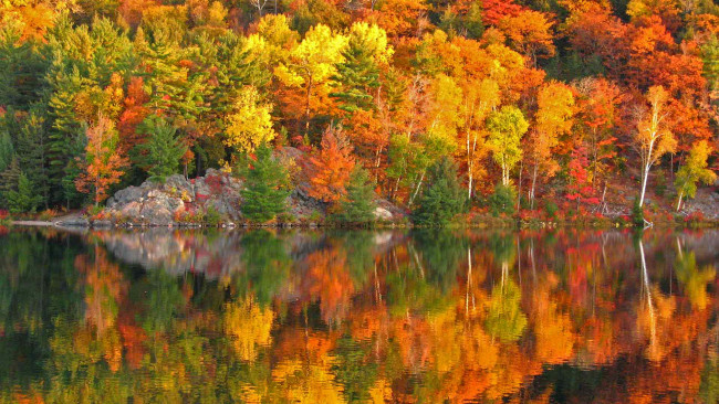 Обои картинки фото природа, реки, озера, осень, краски, канада, онтарио, озеро, джордж, отражение, склон, скалы, деревья