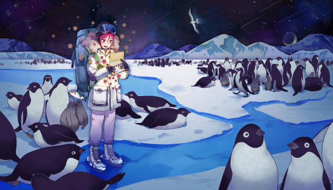 Обои картинки фото аниме, free, пингвины, мальчик