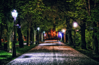 Картинка природа парк фонари аллея вечер
