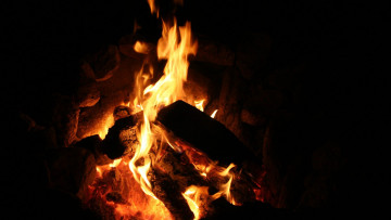 Картинка природа огонь очаг пламя дрова