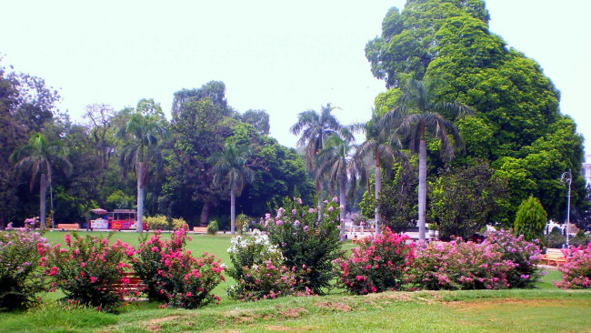 Обои картинки фото природа, парк, пальмы