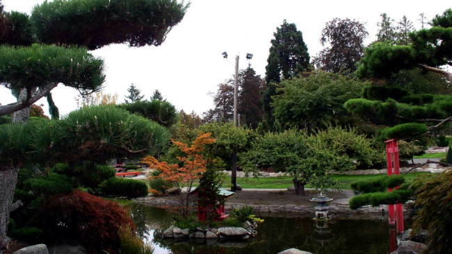 Обои картинки фото природа, парк, водоем, японский, деревья