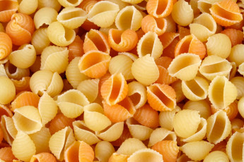 Картинка еда макаронные+блюда макароны паста ракушки