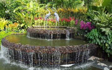 Картинка природа парк цветы фонтан