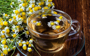 Картинка еда напитки +чай ромашковый чай цветы