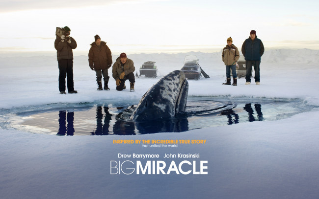 Обои картинки фото кино фильмы, big miracle, люди, кит, лунка, лед
