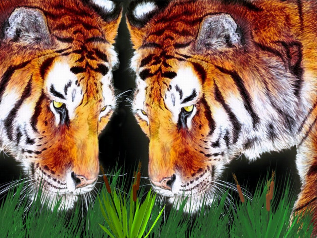 Обои картинки фото зеркало, рисованные, животные, тигры