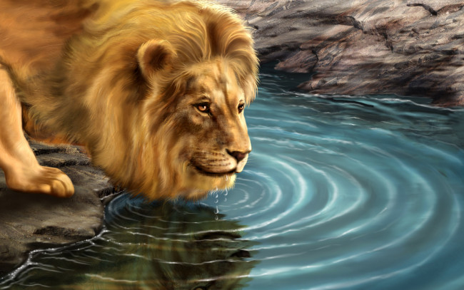 Обои картинки фото рисованные, животные, львы, лев, водопой, вода, круги
