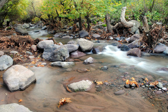 Картинка природа реки озера ручей камни деревья