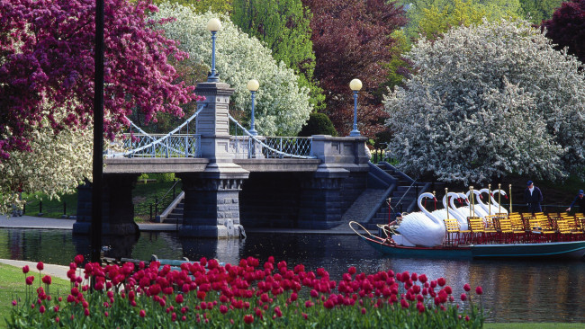 Обои картинки фото города, вашингтон, сша, деревья, лодка, парк, лебеди, цветы, лодочник