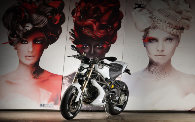 Обои картинки фото мотоциклы, ducati, monster1100-evo