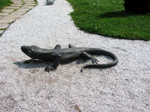 обоя разное, садовые и парковые скульптуры, крокодил