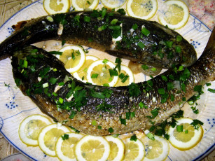 Картинка еда рыбные+блюда +с+морепродуктами лимоны щука