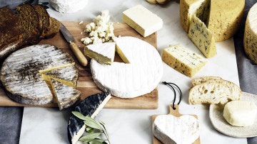 Картинка еда сырные+изделия сыр ассорти