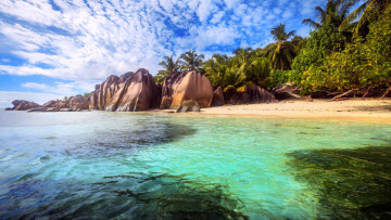 Картинка природа тропики море остров пляж пальмы отдых