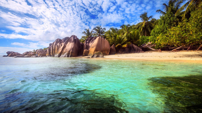 Обои картинки фото природа, тропики, море, остров, пляж, пальмы, отдых