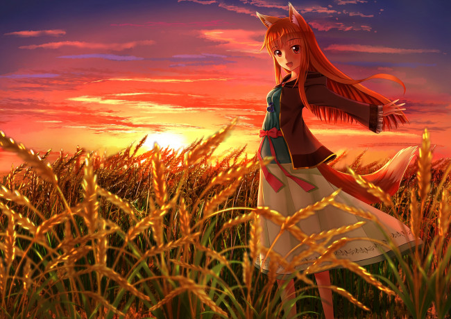 Обои картинки фото аниме, spice and wolf, пшеница, red, hair, фон, взгляд, девушка, holo, глаза, redhead, рожь, рыжая, солнце, spice, and, wolf, рыжеволосая, волчица, хоро, колосья, eyes, уши