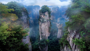 обоя национальный парк zhangjiajie, природа, горы, пейзаж, туман, национальный, парк, аватар, утро, китай, чжанцзяцзе, азия, скалы