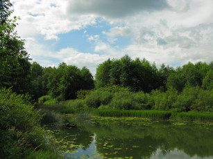 Картинка река кашинка природа реки озера плавать лето