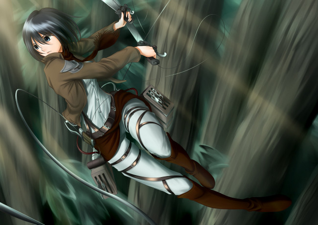 Обои картинки фото mikasa, ackerman, аниме, shingeki, no, kyojin, девушка