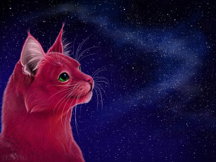 Картинка рисованные животные +коты кот небо звезды