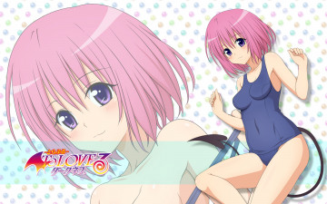Картинка аниме to-love-ru купальник взгляд девушка momo velia deviluke