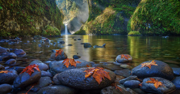 Картинка природа водопады камни лес озеро горы листья деревья вода