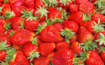 Картинка еда клубника +земляника berries fresh красная strawberry красные ягоды спелая