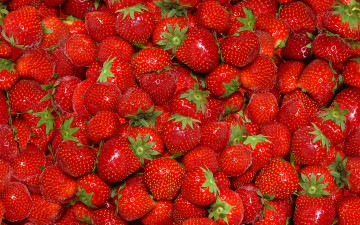 Картинка еда клубника +земляника красные ягоды спелая strawberry fresh berries красный