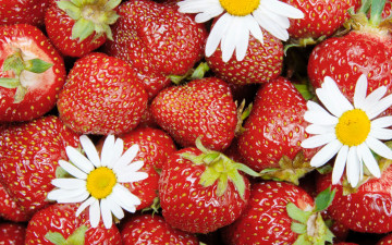 Картинка еда клубника +земляника strawberry весна berries спелая ягоды красные цветы fresh