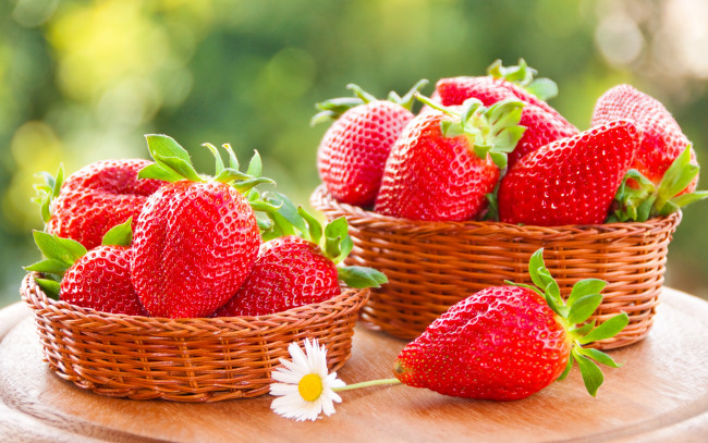 Обои картинки фото еда, клубника,  земляника, strawberry, red, ягоды, спелая, красная, корзинка, sweet, fresh, berries
