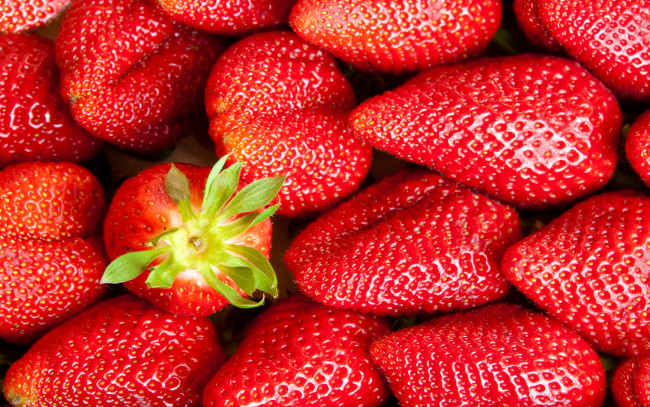 Обои картинки фото еда, клубника,  земляника, strawberry, весна, berries, fresh, спелая, ягоды, красные