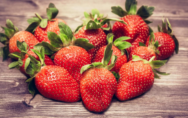 Обои картинки фото еда, клубника,  земляника, весна, ягоды, спелая, berries, fresh, strawberry, красные