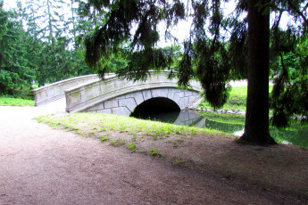 Картинка пушкин природа парк мостик деревья