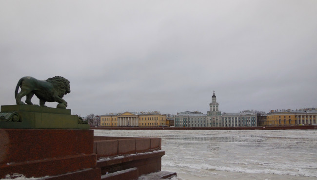 Обои картинки фото с-петербург, города, - исторические,  архитектурные памятники, зима, река, лев, здания