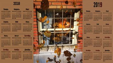 Картинка календари рисованные +векторная+графика листья окно мужчина