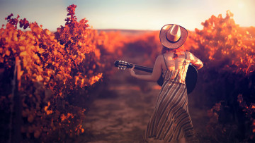 Картинка музыка -другое растения шляпа гитара девушка