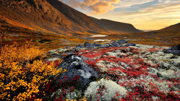 Картинка природа горы пейзаж рассвет скалы цветы вода озеро облака небо трава желтые красные хибины горный массив кольский полуостров россия