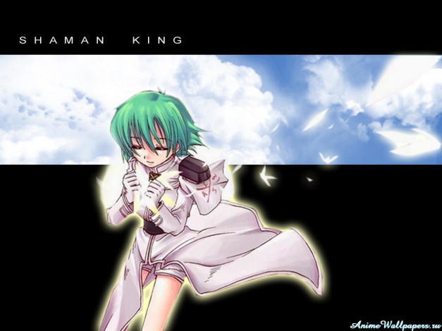 Обои картинки фото аниме, shaman, king