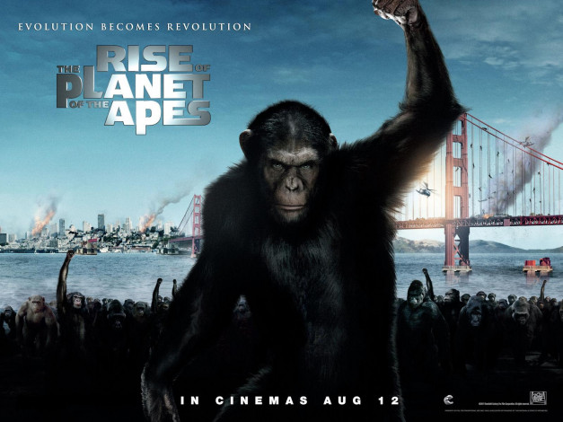 Обои картинки фото rise, of, the, planet, apes, кино, фильмы, восстание, обезьяна