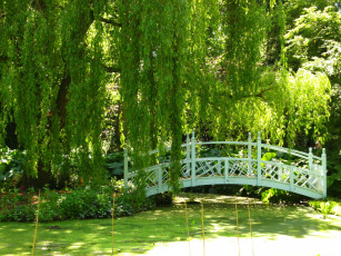 Картинка richmond england природа парк деревья мостик пруд
