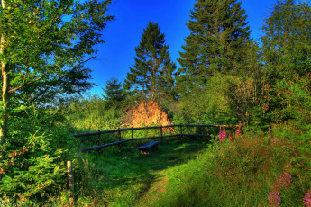 Картинка германия гессен природа парк дорожка скамейка деревья