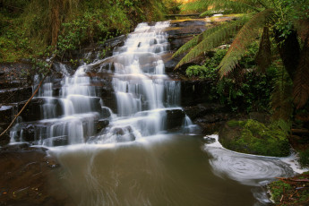 Картинка great otway national park victoria australia природа водопады водопад