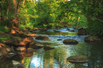 Картинка природа реки озера вода камни лес
