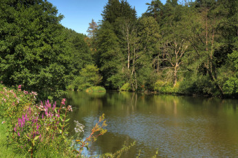 Картинка германия бавария природа реки озера берег река деревья