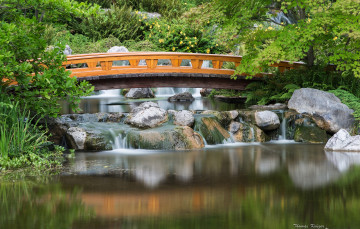 Картинка setagaya park japanese garden vienna austria природа парк Японский сад австрия мост каскад камни вена