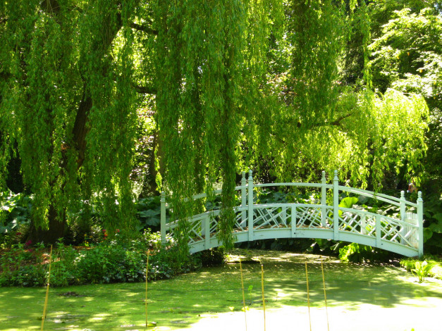 Обои картинки фото richmond, england, природа, парк, деревья, мостик, пруд