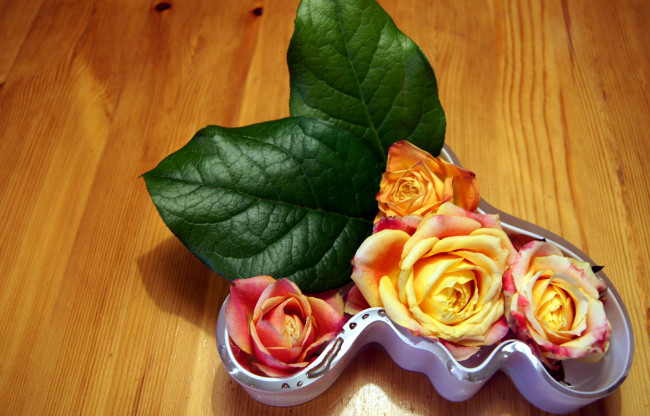 Обои картинки фото цветы, розы, ваза, листья, бутоны