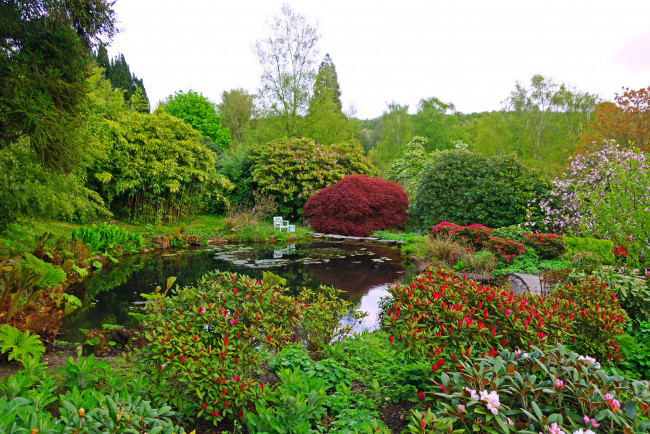 Обои картинки фото англия, севенокс, дистрикт, charwell, garden, природа, парк, сад, водоем, растения